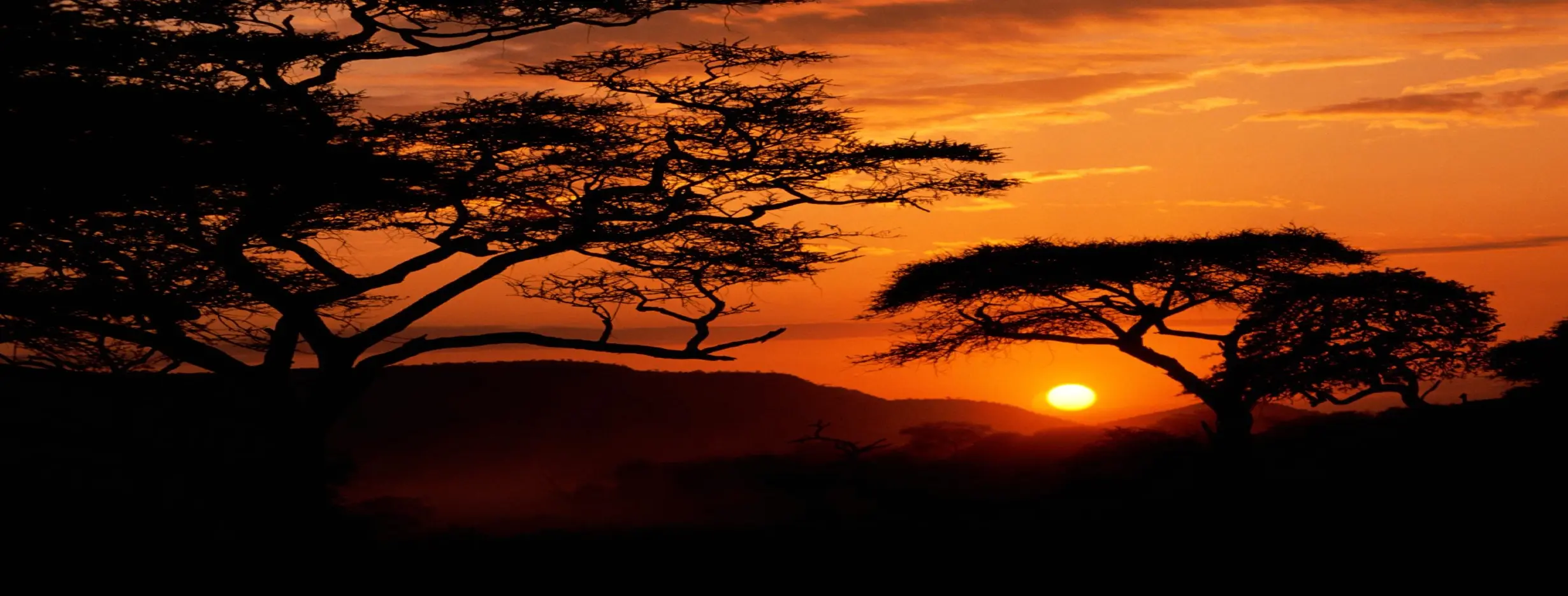 Image for Beautiful Landscapes